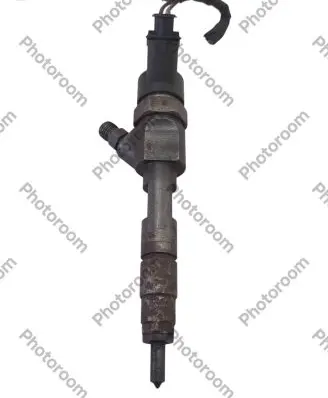 Renault Megane II Fuel injector 0445110021 7700111014