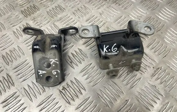 Nissan Leaf I (ZE0) Rear door hinge set 