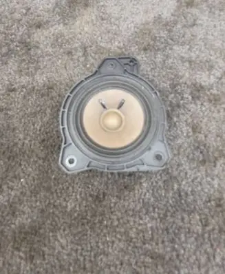 Polestar 2 Rear door speaker 31456870