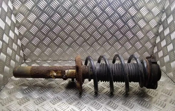 Skoda Yeti (5L) Front shock absorber with coil spring