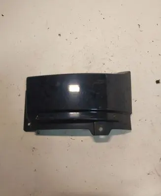 Rear/tail light trim molding