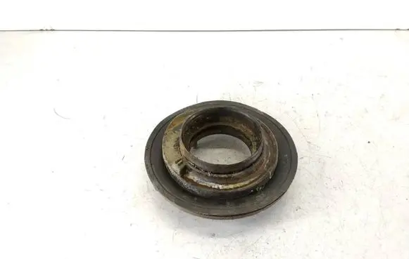 Coil spring mount
