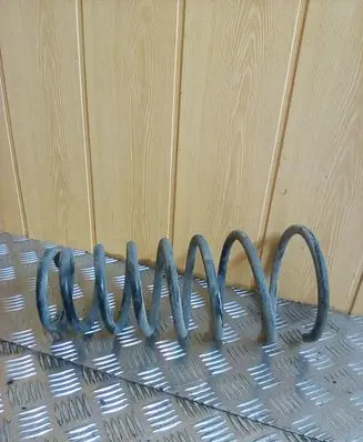 Rear coil spring