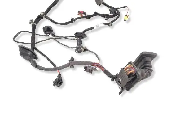 Volkswagen PASSAT B7 Front door wiring loom 3AB971120CM