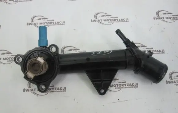 Thermostat/thermostat housing