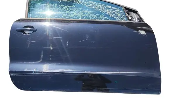 Volkswagen Polo V 6R Front door 
