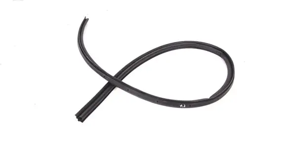 Jaguar F-Type Rubber seal front coupe door EX532053071A
