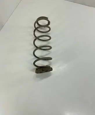 Renault Laguna III Rear coil spring