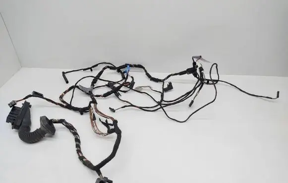 BMW X5 E70 Front door wiring loom 9145179
