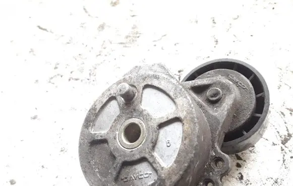Citroen Berlingo Generator/alternator belt tensioner
