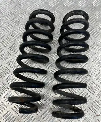 Rear coil spring