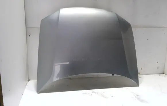 Volkswagen PASSAT B5.5 Engine bonnet/hood