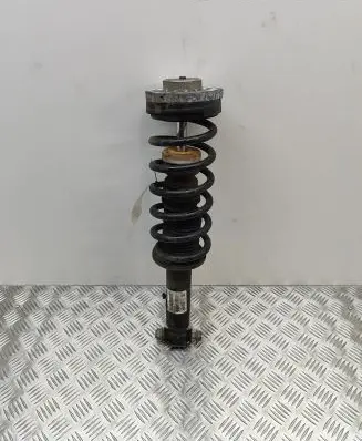 BMW X3 F25 Rear shock absorber/damper 6796317