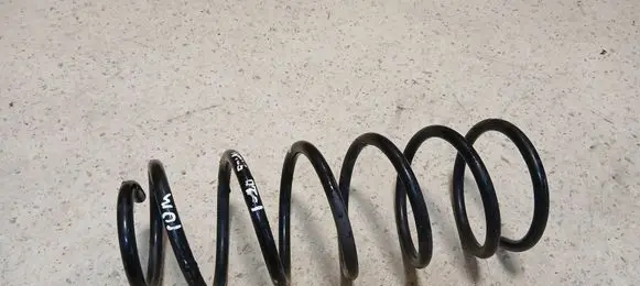 Rear coil spring