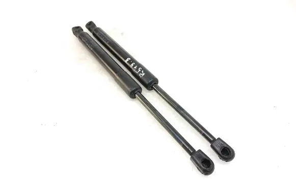Tesla Model 3 Tailgate/trunk strut/damper 109156000B