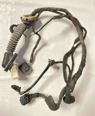 Rear door wiring loom