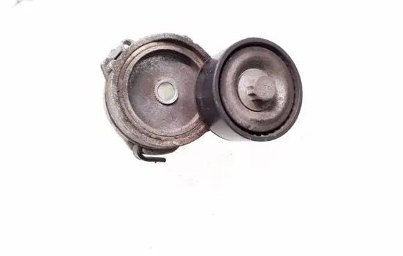 Citroen C3 Generator/alternator belt tensioner 9675874680