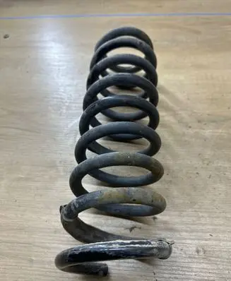Rear coil spring