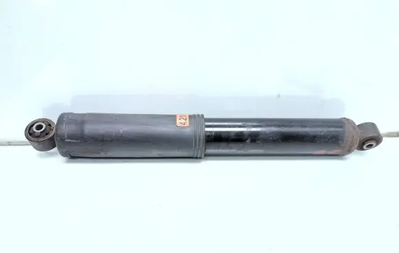 Chevrolet Captiva Rear shock absorber/damper 20924216