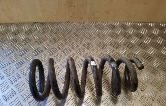 Front coil spring