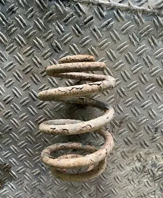 Rear coil spring