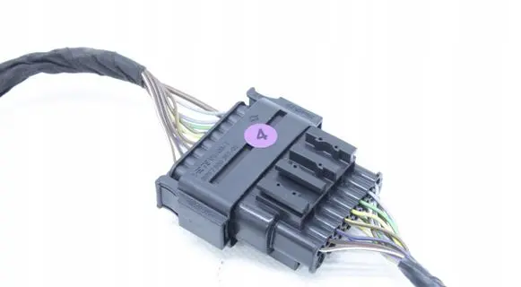 Other wiring loom
