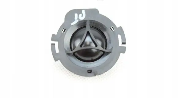 Front door high frequency speaker