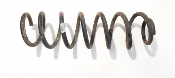 Rear coil spring