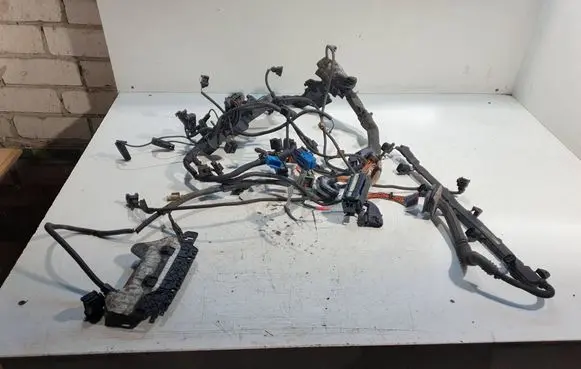 BMW 3 E90 E91 Engine installation wiring loom 7796078 7796079