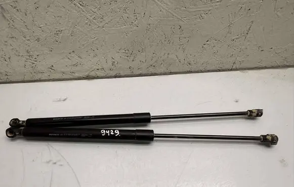Tailgate/trunk strut/damper