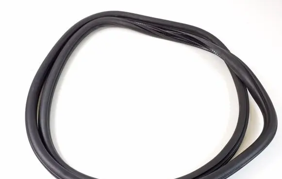 BMW X3 F25 Rear door rubber seal (on body) 7396556