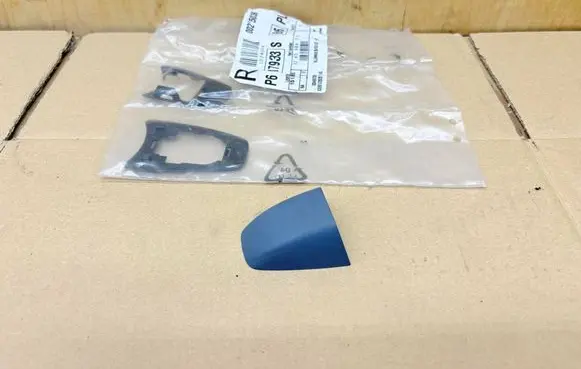 Renault Clio V Front door exterior handle 806068654R 806471638R 22587