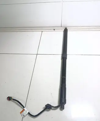 Tailgate strut