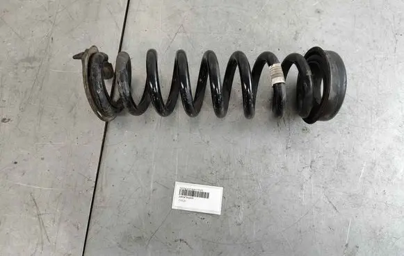 Rear coil spring