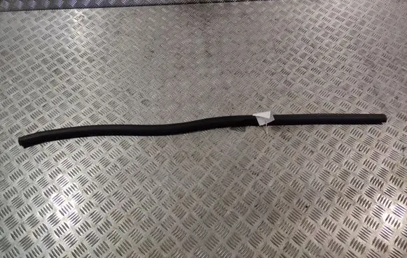 BMW 2 F22 F23 Front door rubber seal 7267927