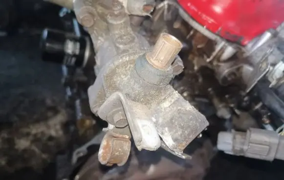 Honda Accord Engine coolant pipe/hose