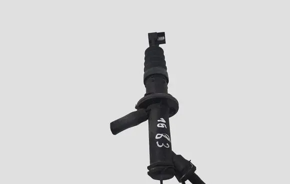 Renault Clio III Clutch master cylinder 8200436137F