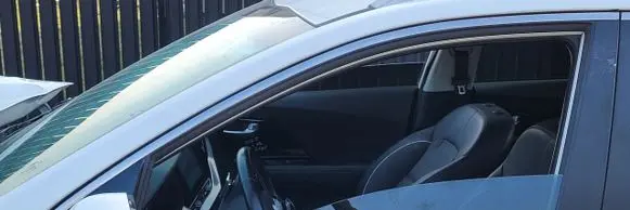 KIA Niro Front door trim (molding) 