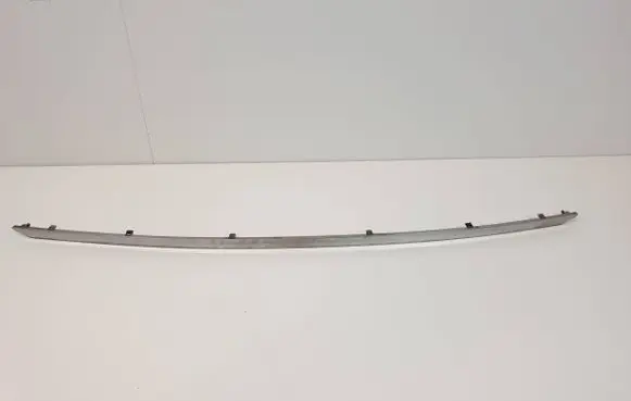Rear bumper trim bar molding