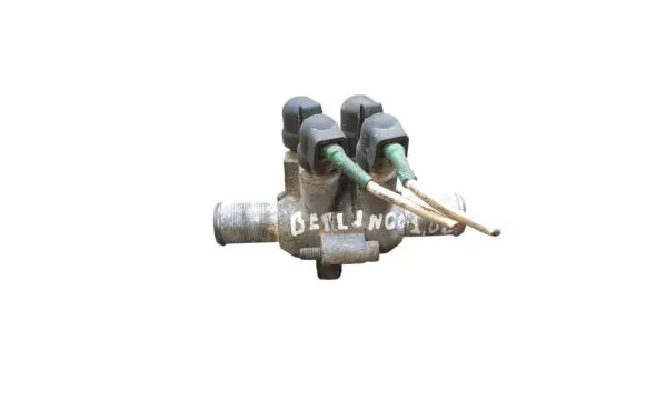 Citroen Berlingo Electric engine pre-heating system (optional) 