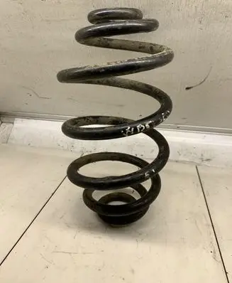 Volkswagen PASSAT B5.5 Rear coil spring