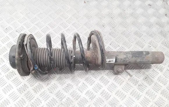 Peugeot 206 Front shock absorber with coil spring