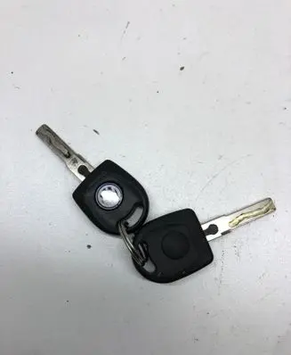 Volkswagen PASSAT B5 Ignition key/card 