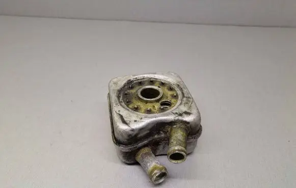 Volkswagen PASSAT B5.5 Engine oil radiator 028117021B
