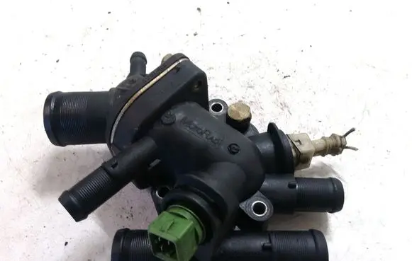 Thermostat/thermostat housing