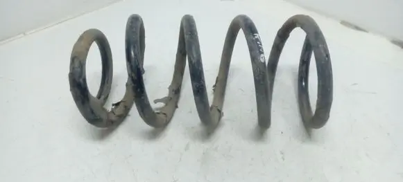 Hyundai Santa Fe Rear coil spring