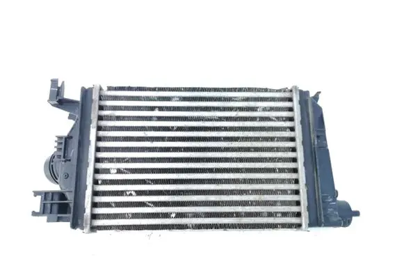 Dacia Sandero III Coolant radiator 144968819R