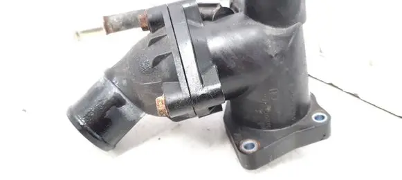 Thermostat/thermostat housing