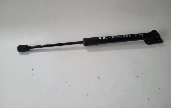 Opel Crossland X Tailgate/trunk strut/damper 9581810615N