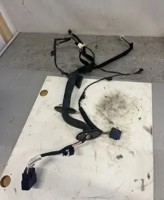 Renault Master III Front door wiring loom 241258801R CE8254801R